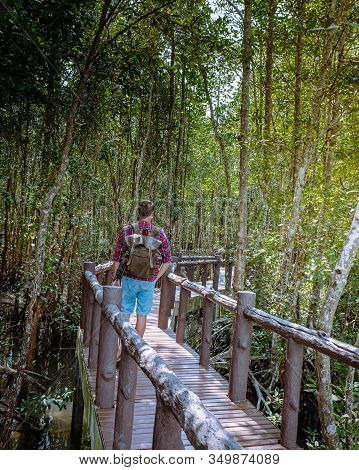 Muko Chumphon National Park, Thailand , Men Walking On Wooden Deck In The Park With Trees And Mangro