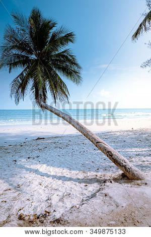 Thung Wua Laen Beach Chumphon Thailand, Couple On The Beach By Palm Tree Hanging On The White Beach