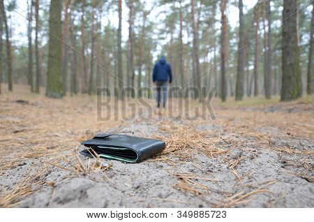 Young Man Loses His Purse With Euro Money Bills On Russian Autumn Fir Wood Path. Carelessness And Lo