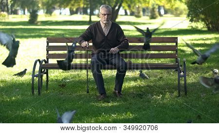 Old Upset Male Banishing Flock Of Pigeons In Park, Loneliness And Retirement