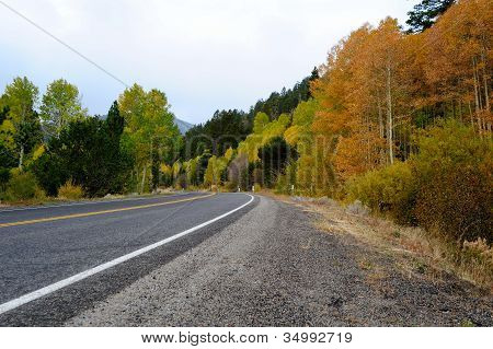 Fall sæson i Sierras