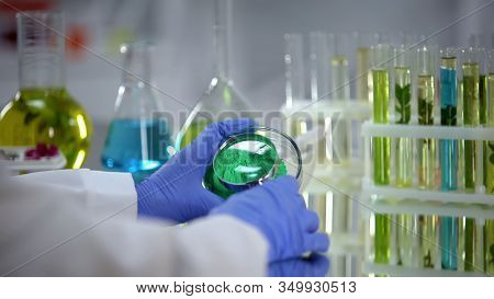 Researcher Analyzing Green Pigment, Looking Through Magnifying Glass, Dyestuff