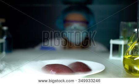 Kidneys In Laboratory Fridge, Body Cryopreservation, Compensatory Growth