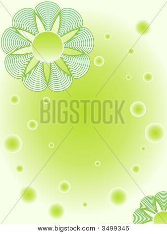 Verde Ox-Eye Daisy