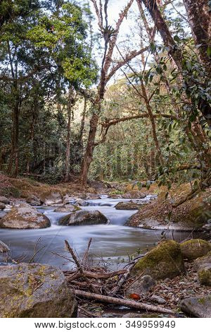 Savegre River, San Gerardo De Dota. Quetzales National Park, Costa Rica. The Cleanest River In Centr