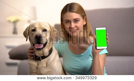 Happy Woman Hugging Cute Labrador Dog, Showing Green Screen Smartphone, Pet App