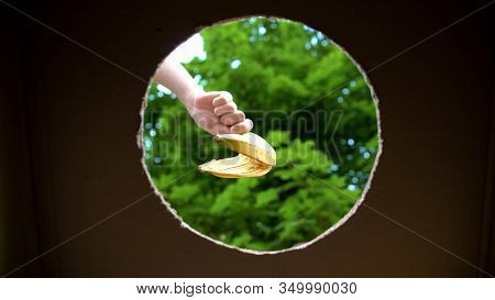 Person Putting Banana Skin In Biodegradable Waste Box, Alternative Energy Source