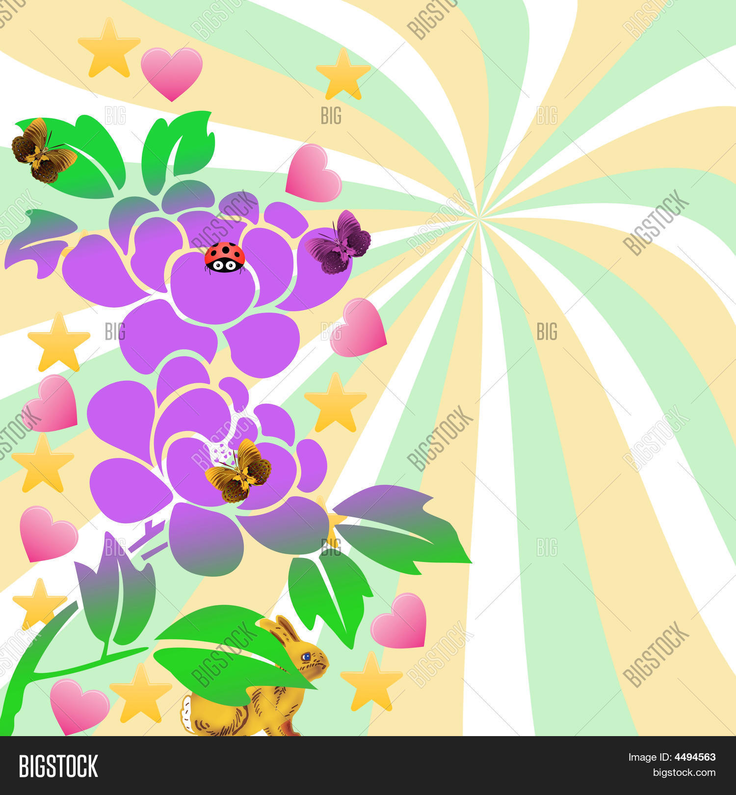 Image Preview