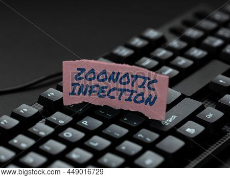 Hand Writing Sign Zoonotic Infection. Conceptual Photo Zoonotic Infection Typing Online Website Info