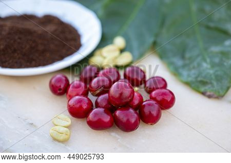 Red Ripe Arabica Coffee Berries, Green Coffee Beands, Leaves And Roasted Ground Coffee In Bowl