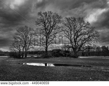 Dark Winter Landscape With Bare Trees And Puddle In The Mostviertel Region Of Lower Austria