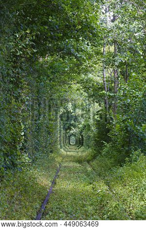Tunnel Of Love - Favorite Place For Couples To Take Walks. Natural Miracle. Old Abandoned Railway Li