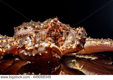 Raw Live Kamchatka Crab Paralithodes Camtschatica, Isolated On A Black Background