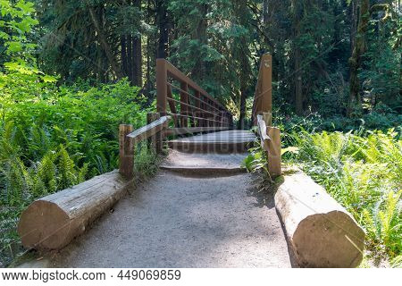 Hiking Trail Over A Bridge To Marymere Falls Waterfall In Olympic National Park