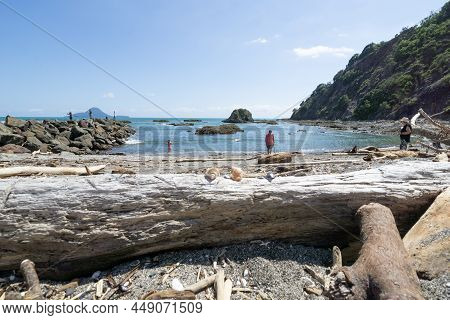 Whakatane New Zealand - January 28 2022; East Heads And Waterfront With Logs And Driftwood Washed Up