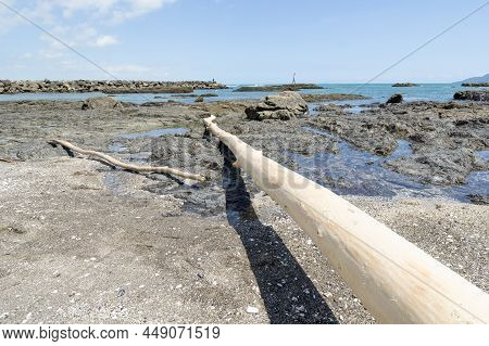 Whakatane New Zealand - January 28 2022; East Heads And Waterfront With Logs And Driftwood Washed Up