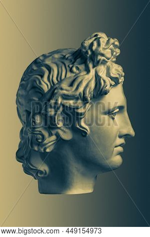 Bronze Color Gypsum Copy Of Ancient Statue Apollo God Of Sun And Poetry Head For Artists On Brass Ba