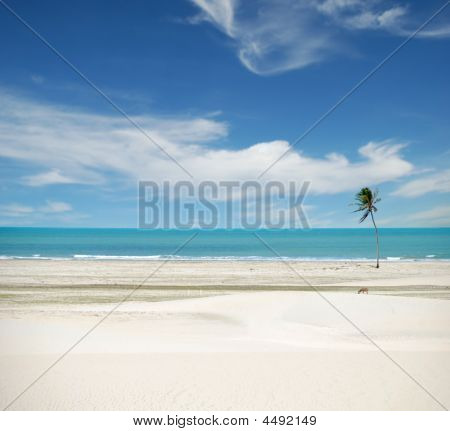 Jericoacoara Brazil