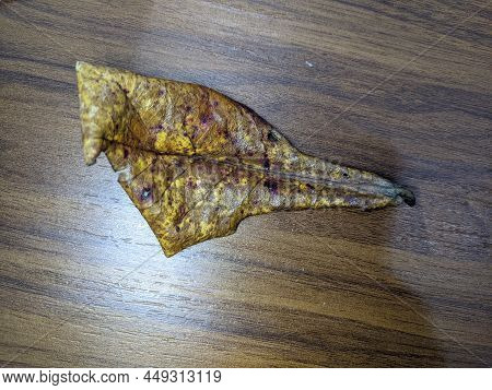Natural Leaves, Ketapang Leaves With Wood Finny Background