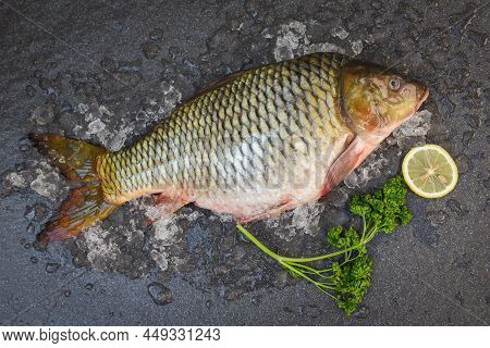Common Carp Freshwater Fish Market, Carp Fish, Fresh Raw Fish On Ice For Cooked Food With Lemon On D