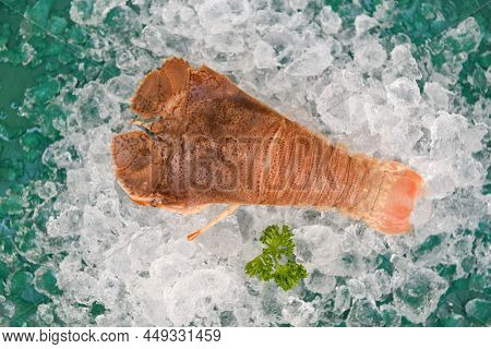 Fresh Slipper Lobster Flathead For Cooking In The Seafood Restaurant Or Seafood Market, Raw Flathead