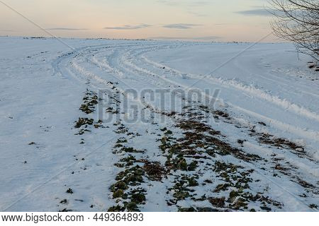 Snowy Road In A Field Leading To Pine Forest. Winter Road To Nowhere In Sunny Day, Snow-covered Fres