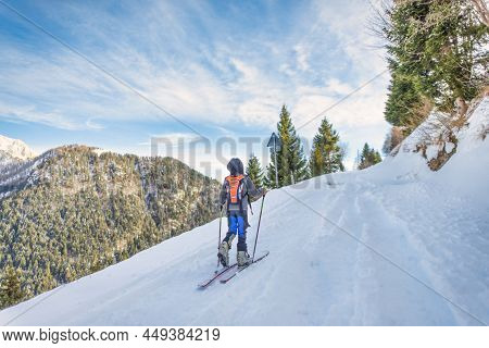 A Child With Sealskins Under His Skis