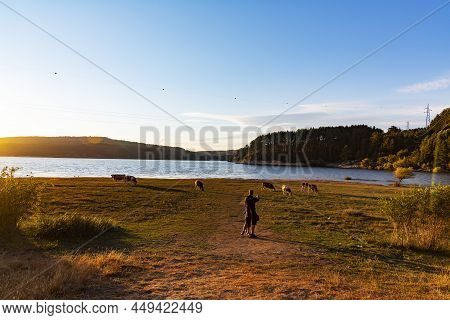 Cecita Lake. The Sila National Park