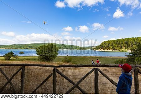 Cecita Lake. The Sila National Park Located In Camigliatello Silano