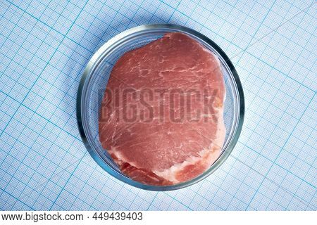 Gmo Meat In A Petri Dish - Photo On A Graph Paper. Artificial Meat In Petri Dish. Flat Petri Glass D