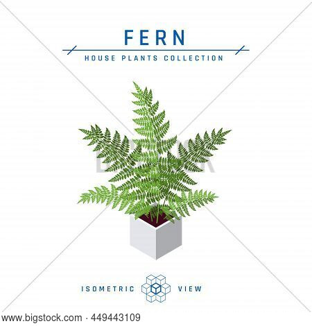 Fern In Pot Isometric Icon In Flat Style, Vector