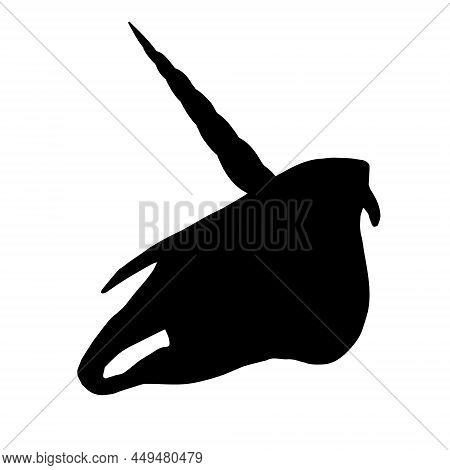 Vector Hand Drawn Unicorn Skull Silhouette Isolated On White Background