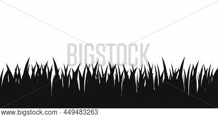 Grass Black Background. Grassland Dark Field Bakdrop Illustration.