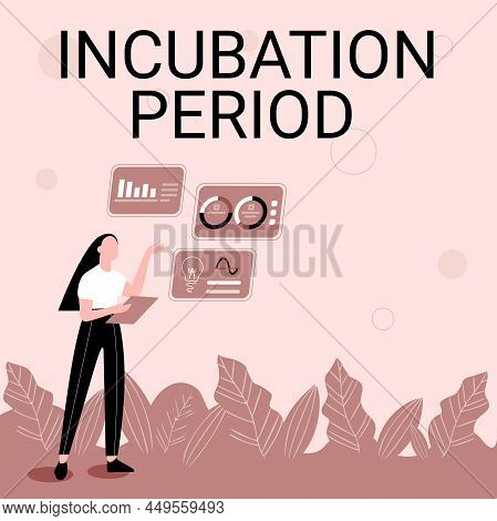 Text Sign Showing Incubation Period. Business Idea Time Elapsed Starting From Getting Exposed To An 