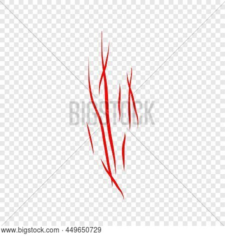 Set With Werewolf, Cat Or Beast Red Scratch Scrape On Transparent Background. Four Wound Marks. Isol
