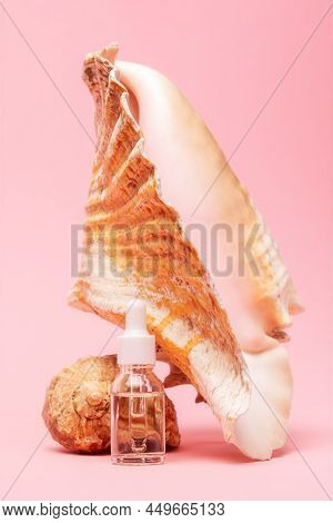 Transparent Cosmetic Bottle On A Pink Background Standing Near Strombus Gigas Sea Shell. Vertical Or