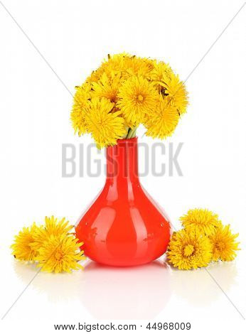 Löwenzahn Blumen in der Vase, isolated on white
