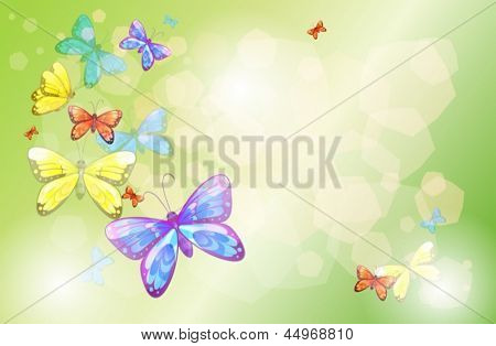 Illustrazione di una cartoleria con farfalle colorate