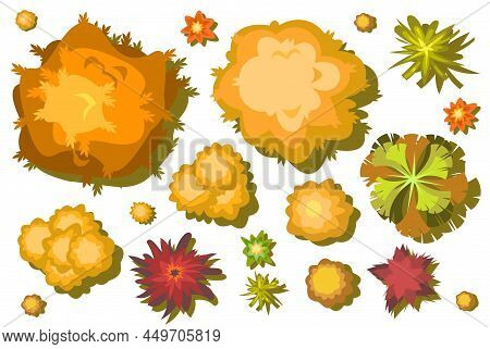 Set Of Autumn Trees And Beshes. For Landscape Top View. Scene With Yellow And Orange Plants From Hei