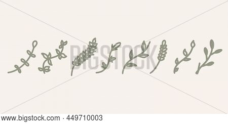 Handdrawn Plant Decoration Background. Set Of Leaves. Hand Drawn Decorative Green Leaf Element Desig