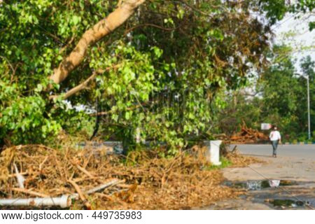 Blurred Image Of Kolkata, West Bengal, India. Super Cyclone Amphan Uprooted Tree Which Fell And Bloc