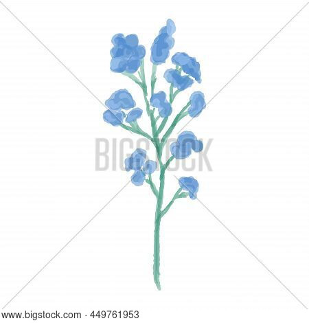 Hand Drawn Illustration Of A Blue Wild Flower. Styloid Phlox Painted In Watercolor. Vector Illustrat