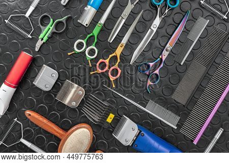 Acessories For The Grooming And Nail Clipper For Cats And Dogs