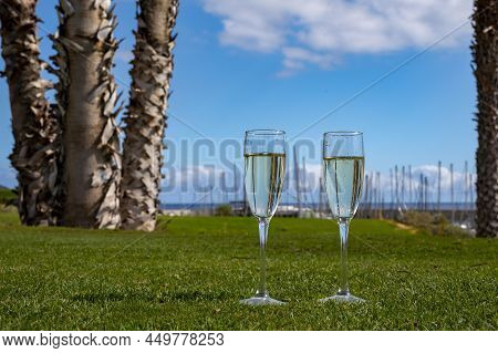 Celebration Of Championship With Glasses Of Champagne Bubbles Wine On Green Lawn Of Golf Club
