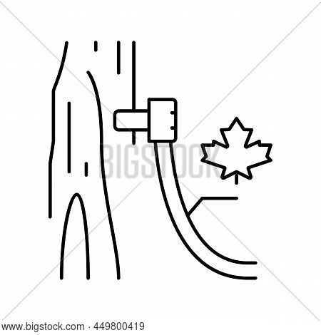 Maple Sap Collection, Using Tubing Method Line Icon Vector. Maple Sap Collection, Using Tubing Metho