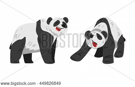 Funny Panda Wild Animals Cartoon Vector Illustration On White Background