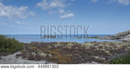Psammophile Plant Communities In Cape Of Favaritx, Municipality Of Mahon, Menorca, Spain