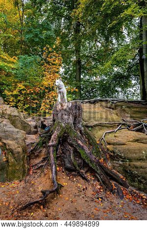 Germany. Artists' road Malerweg in Saxon Switzerland. The picturesque sandy cliffs of Bastei, 200 meters high above the Elbe River, are a famous tourist attraction. 