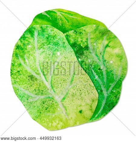 Hand-drawn Watercolor Papercut Green Cabbage Head. Bright Cute Kawaii Kidcore Style Illustration, Go