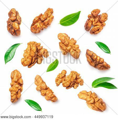 Walnut Pattern. Walnut Kernel Nut  Isolated On White Background. Creative Layout. Top View. Flat Lay